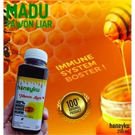 Wild Wasp Honey (raw Honey) 250 ml - Honeyku.id | Madu Tawon Liar (Raw Honey) 250 ml - Honeyku.id