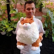 Boneka kucing Lucu