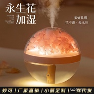 Preserved Flower New Style Humidifier 2024 Small Portable Bedside usb Gift Atmosphere Light Aromathe