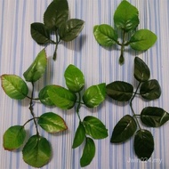 Wholesale Bone Handmade Flower Injection Artificial Leaf Leaf Rose Flower Artificial Flower Leaf Lea