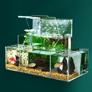 Ecological Fighting Aquarium, Isolation Box For Breeding And Incubation Of Guppies, Water Circulation Filter