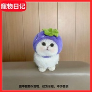 Cat Headgear Pet Cute Hat Pet Hat Cat Dog Hat Cat Dog Headgear Pet Headgear Puppy Dog Maltese Yorksh
