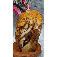 F0SIL K4YU ABSTRACT MOTIF AGATE STONE READY TO POLISH