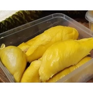 🌱🌱 HARGA PROMO 🌱🌱 FRESH DURIAN Musang king D13 udang merah Johor