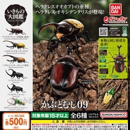 [Genuine] Gashapon/ Capsule toy Bandai - Diversity of life on earth - Beetle Vol 9