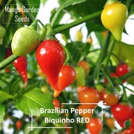 Biquinho RED Brazilian Pepper Seeds - 10 Seed *Pot Friendly* Tanam Pasu, Little Beak 喙型红辣椒种子, 鸟嘴 - M