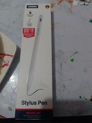 Ipad pen