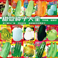 Cantaloupe Melon Melon Vegetables Fruits Various Fruits Watermelon Seeds Cantaloupe Spring Seeds Mel