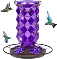 25 Ounces Large Glass Hummingbird Feeders for Outdoors Wild Bird Nectar Feeder with Perch & 5 Flower