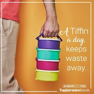 Lunch Box - CTG / Tup Tiffin 550ml & Handle (Loose)