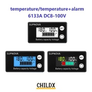 CHILDX Battery Capacity Level Indicator, Lithium LiFePO4 Voltmeter, Professional LCD Display Tempera