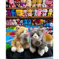 Seulgi Brand Cat Doll Free Real Cat Sitting Comb