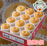 日本鳥取新甘泉梨/秋甘泉梨 2個