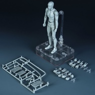 Bandai | Sketch Draw Male Female Movable Body Kun Body Chan Joint Pain Anime Figure Shf Action Figur