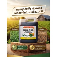 Diquat Dibromide 37.3 SL Is A Paraquat Substitute. Instant Combustion Herbicide Size 4 Liters