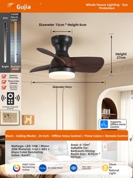 GUJIA | Vintage Fan and Light Fixture