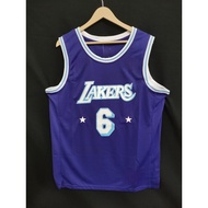 Embroidery Los Angeles Lakers #6 Lebron James Jersey Basketball Jersey
