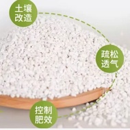 Perlite Stone Bonsai Succulent Cactus Soil Mix Batu Tanah Gardening 1L-3L 珍珠岩 3-6mm