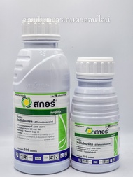 สกอร์ 250-500ml (สาร ไดฟีโนโคนาโซล 25% W/V EC) ใช้ป้องกันกำจัดโรคราสนิม, เมล็ดด่าง, แอนแทรคโนส, ใบจุ