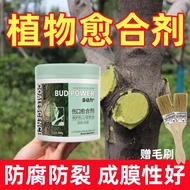 [Ready Stock] Tree Wound Healing Agent Plant Grafting Promotion Living Preservative Bonsai Fruit Tree Trimming Flower Incision Artificial Bark _ Gigi