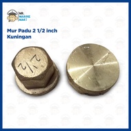 Solid Nut Propeller Nut Size 2 1/ 2 inch Brass