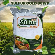 pupuk Sulfur Gold 1 Kg Fungisida Sulfur Belerang