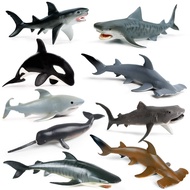 Marine Animal Killer Whale Megamouth Shark Beaked Whale Educational Ocean Toys for Kids Science Lear