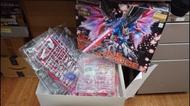 全新 MG destiny Ex