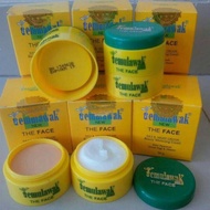 The FACE TEMULAWAK BPOM DAY NIGHT CREAM 50 Grams