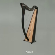 特惠價代購法國豎琴 Camac Lever Harp 一手豎琴 二手豎琴 40 弦豎琴 40 strings (Aziliz)