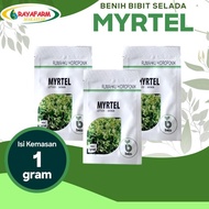 READY STOCK Benih Bibit Selada Myrtel 1gr - Bejo Seed