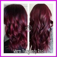 ஓ ⚤ ᴴ Warm Burgundy Red Hair Color