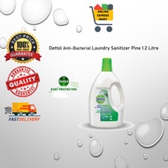 Dettol Anti-Bacterial Laundry Sanitizer Pine 1.2 Litre – 1501095