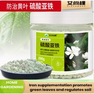 500g / 260g Iron Sulfate / Ferrous Sulphate Fertilizer Anti-yellow Leaf  Iron Supplement Acidic 硫酸亚铁