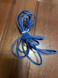 藍色網路線