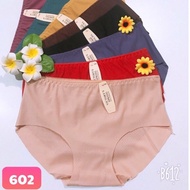 Set of 10 Breathable Latex Panties Form 38-55kg (602)