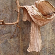 天然染織 植物染 草木染 日月潭紅茶染 櫻花木染 型塑圍巾