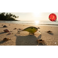 LURE RAPALA BAIT/ DT - 4 DIVES - TO SWIMMING DEPTH OF 4 FEET, 5cm 9gram 1.2 meter/