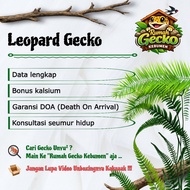 Gecko toy version 03