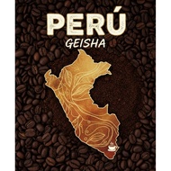 Peru Lonya Grande Geisha Light Roasted coffee beans