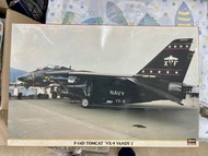 1/48 長谷川戰機Hasegawa F-14D black tomcat