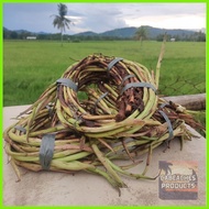 ✆ ✼ Takway/Daludal/Ugat ng Gabi from Capiz 1kg