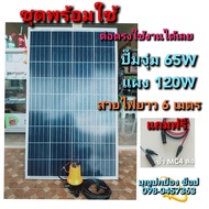 ปั๊มน้ำโซล่าเซลล์พร้อมแผงโซล่าเซลล์ 120W ปั๊มDC 65W 12V สายไฟยาว 6 เมตร มีจุ๊ฟสายMC4 (ชุดพร้อมใช้งาน)