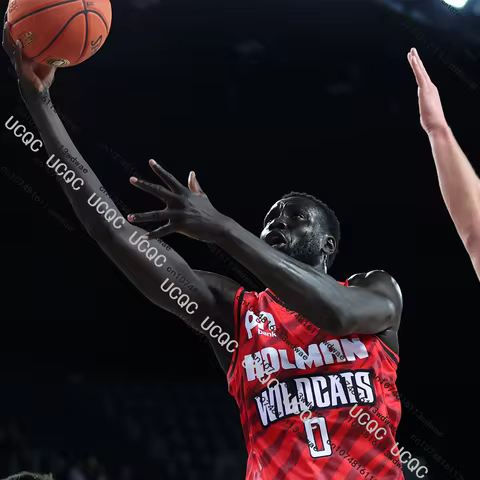 Australia 25/26 New NBL Basketball Jersey Vest Perth Wildcats 3D Print Quick-dry Men's Sports Traini