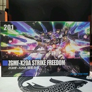 Gaogao Strike Freedom Fighter Ready