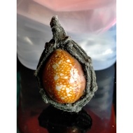 Biage 挡降贝 Thai Amulets 泰国佛牌