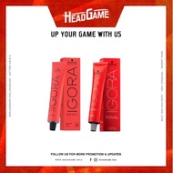 Schwarzkopf Igora Royal Color Tube (60ml) Gold / Chocolate Series (x-4, x-42, 5-5, x-55) (x-6, x-65,