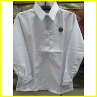 ♞,♘,♙Polo Barong with Sosia Logo