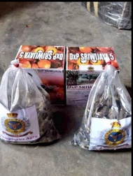 Bibit sawit Sriwijaya termurah
