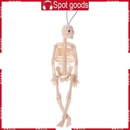 WIN 7 87x1 77 Handsize Skull Accessory Horror Halloween Decor Scarry Skeleton Groom